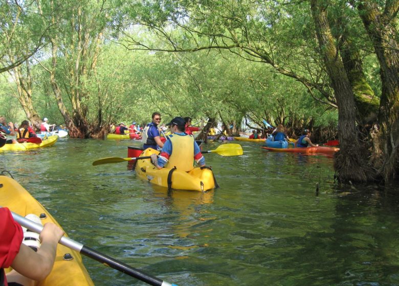 139478_ballade_sur_le_lac