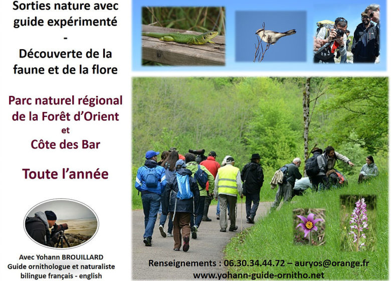 419964_yohann_brouillard_2