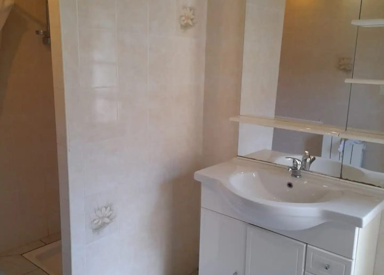 794333_sdb_rez-de-chaussee__l_feuvrier