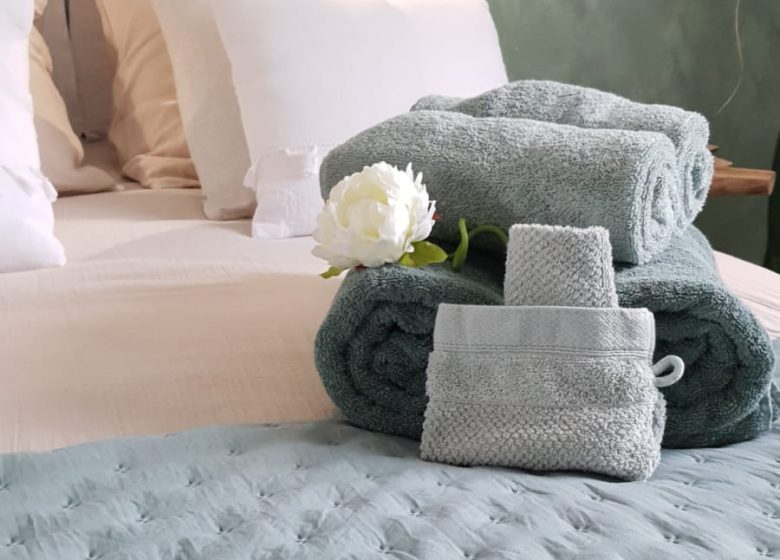 800252_ch_1_serviettes