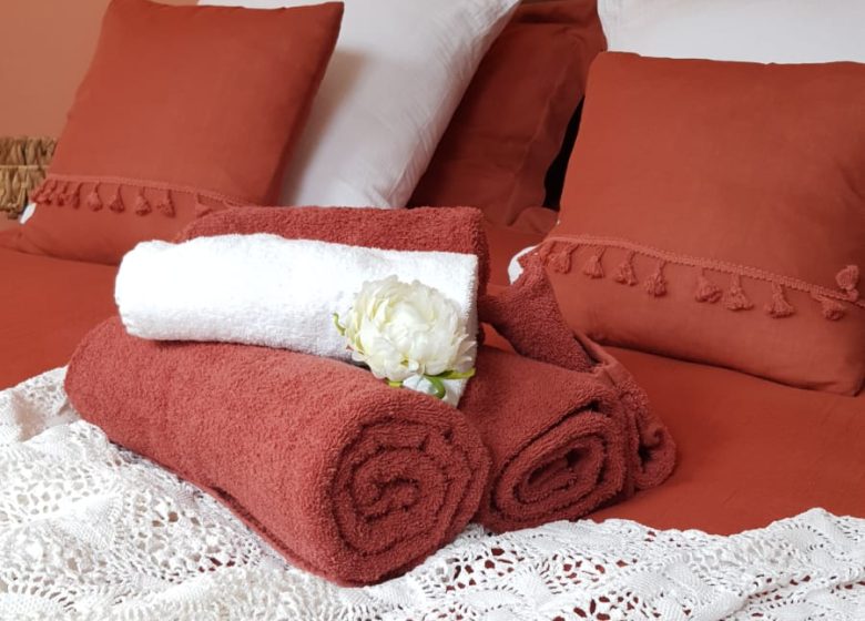 800261_ch_3_serviettes