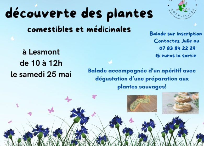 816150_2024_05_25_-_sorties_plantes_sauvages_comestibles_et_medicinales_-_lesmont