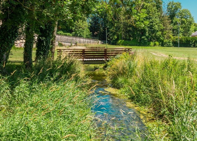 828078_chateau_de_vendeuvre-sur-barse_-__studio_og_4