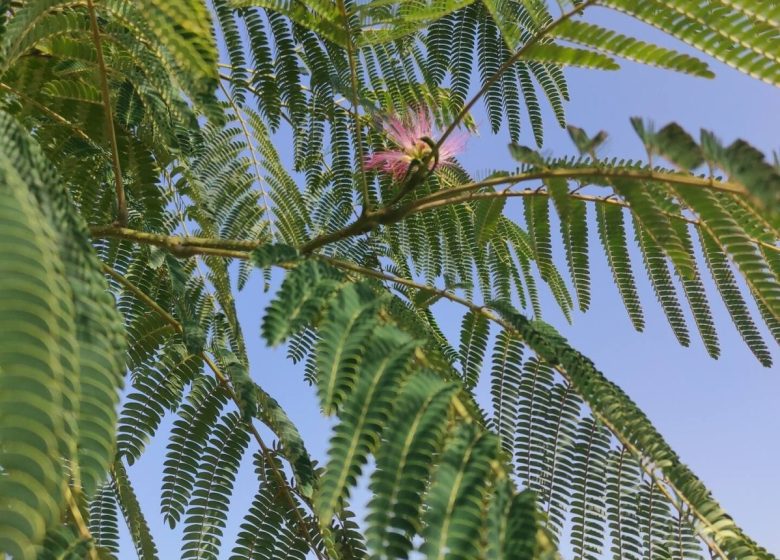 828837_369436fd-e579-45e1-91f6-10cfd3a0a2c1