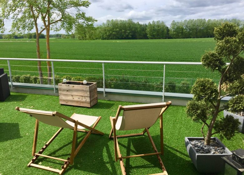 829215_chaises_longues