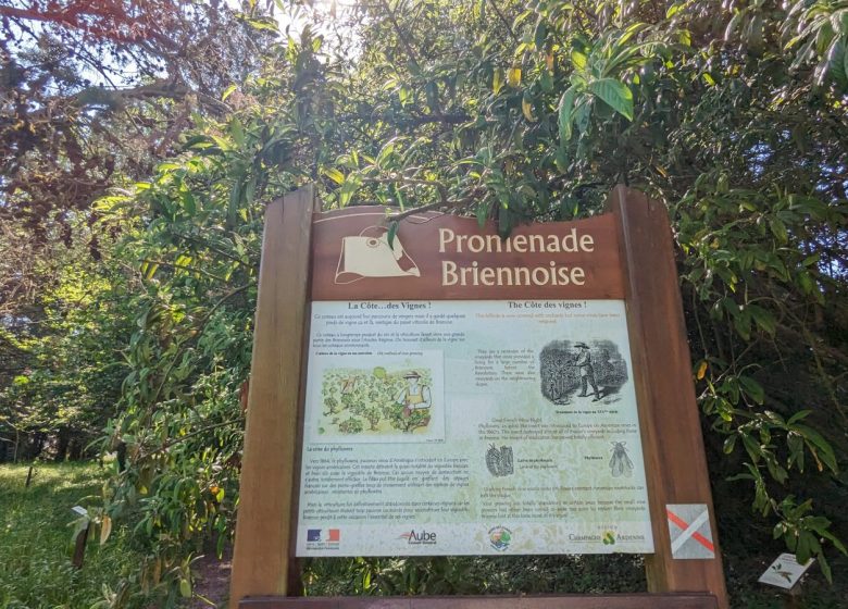 845576_arboretum_brienne_2023_a_loison_1