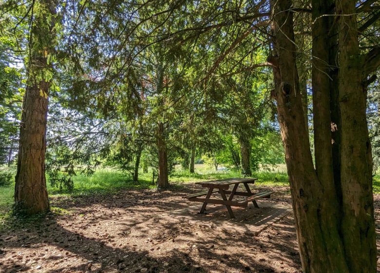 845579_arboretum_brienne_2023_a_loison_43