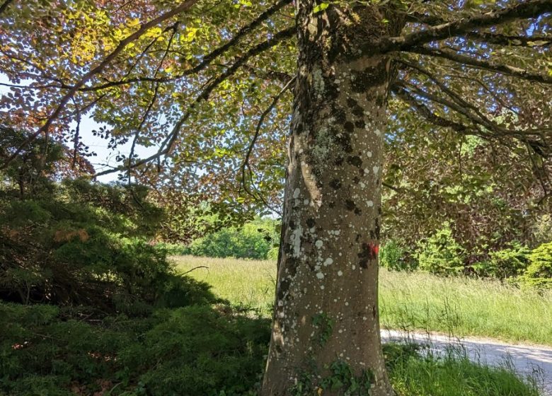 845581_arboretum_brienne_2023_a_loison_67