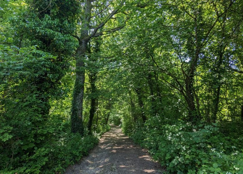 845582_arboretum_brienne_2023_a_loison_71