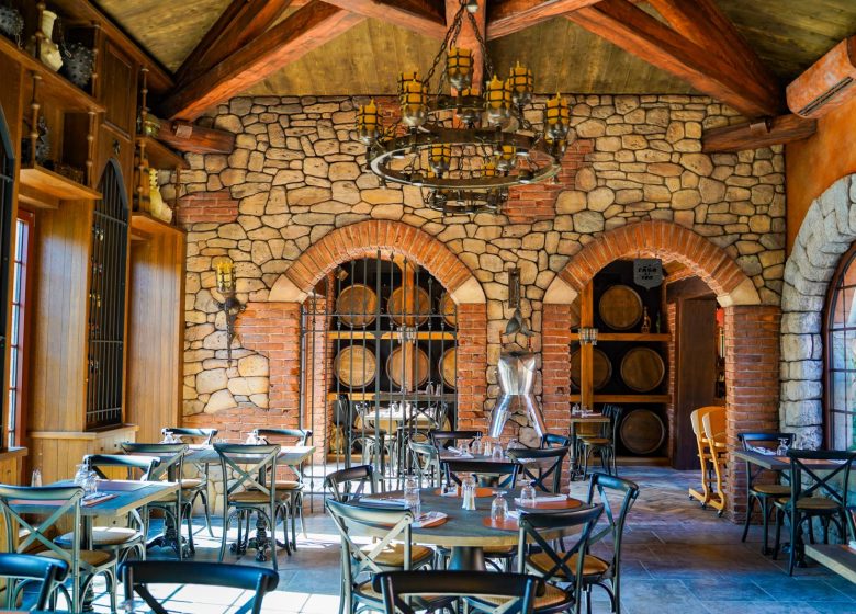 846306_2025_dolancourt_-_restaurant_erizo_nigloland_3