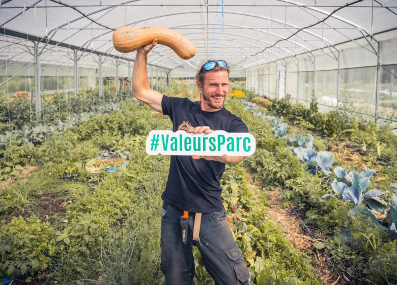851310_valeurs_parc