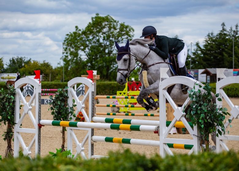 853898_horse-jumping-4313161_1280