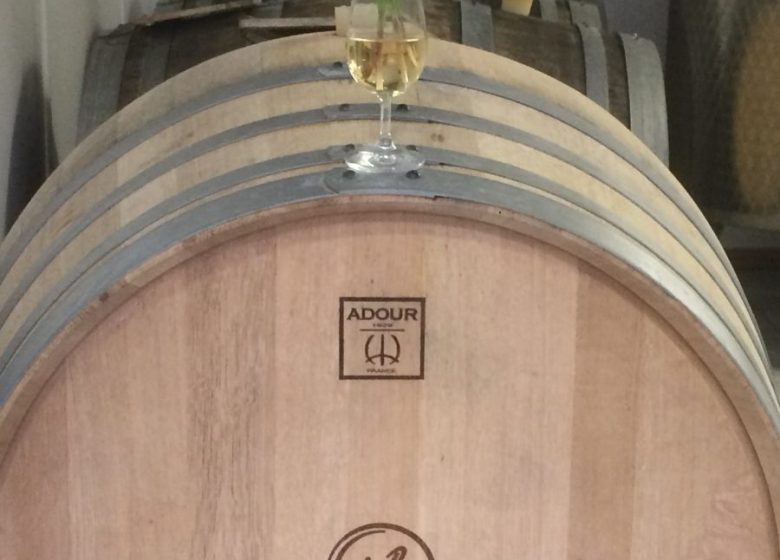 855869_61001946034__bdb2715c-79c7-4fdf-b428-e01f6b7f74cd