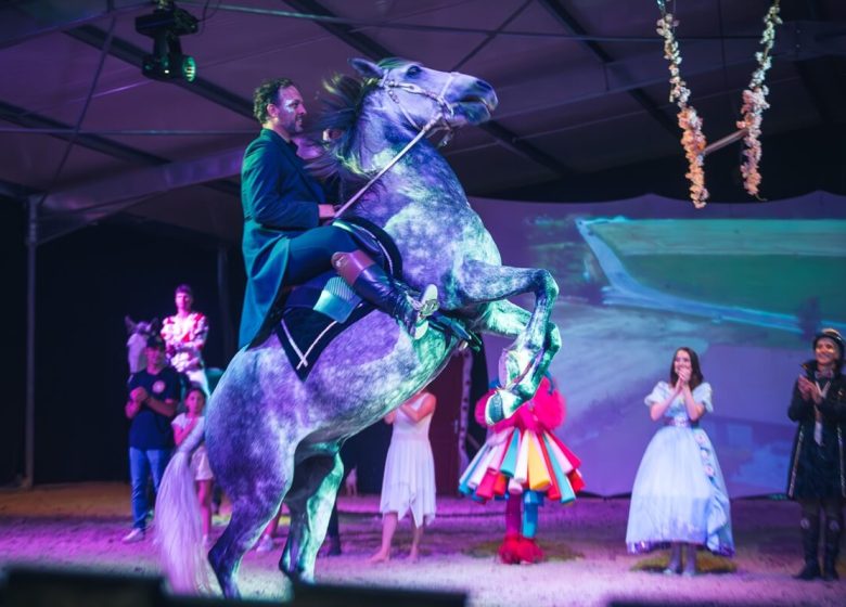 862968_theatre_equestre_de_champagne