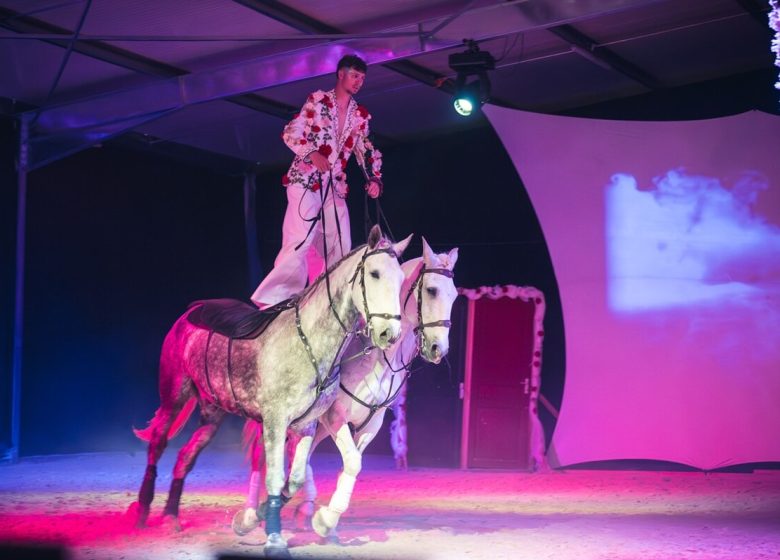 862969_spectacle_equestre_dans_laube
