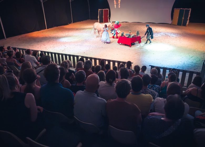 862970_spectacle_au_theatre_equestre_de_champagne