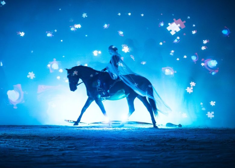 862971_le_theatre_equestre_de_champagne_en_spectacle