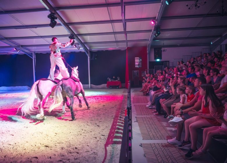 863219_spectacle_equestre_radonvilliers_theatre_equestre_de_champagne_2