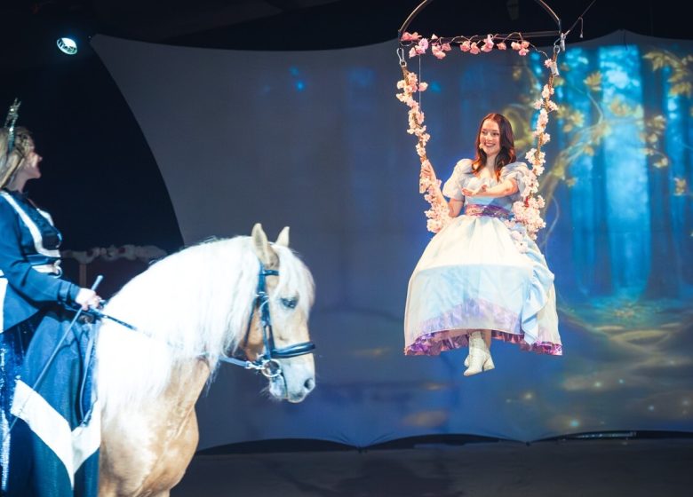 863264_spectacle_equestre_radonvilliers_theatre_equestre_de_champagne_3