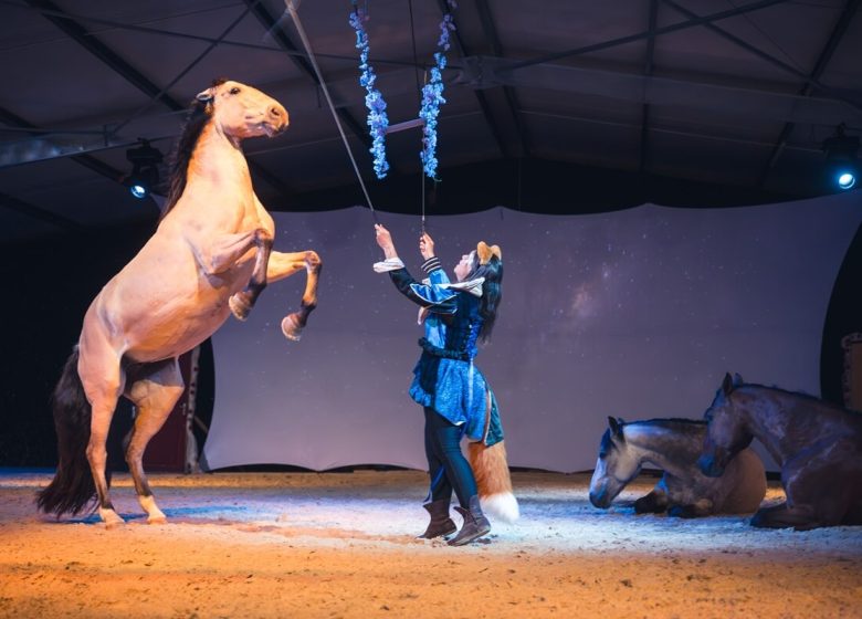 863270_spectacle_equestre_radonvilliers_theatre_equestre_de_champagne_4