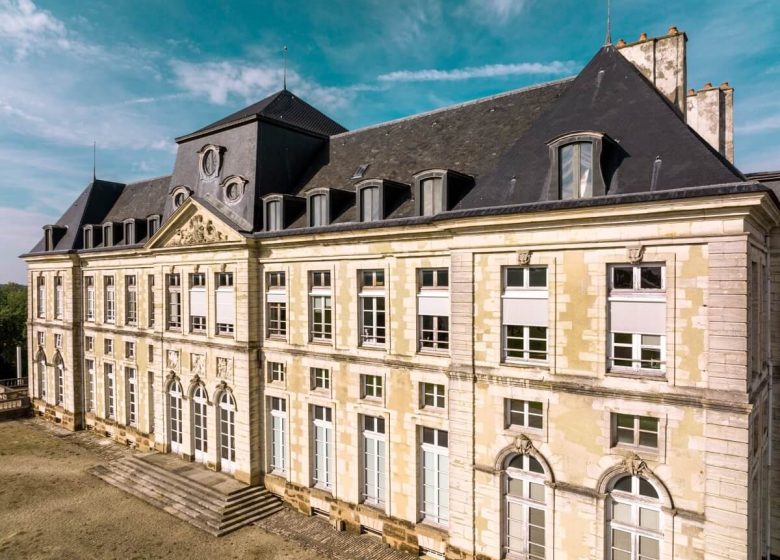 863303_visite_chateau_de_brienne_4