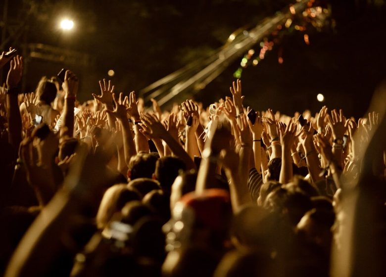 863740_large-group-fans-with-arms-raised-having-fun-music-concert-night_1
