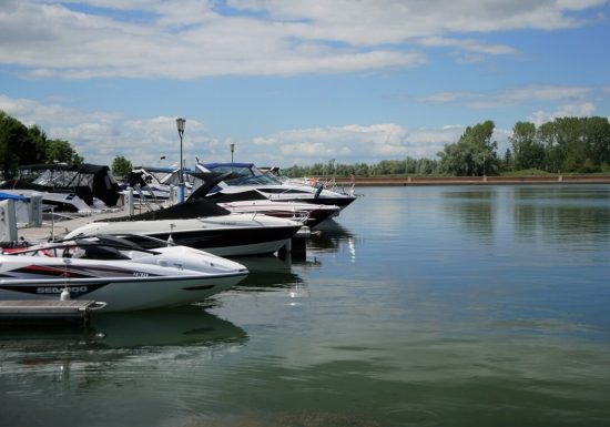 Fête du port