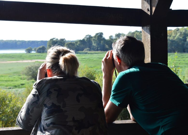 864674_observation_oiseaux