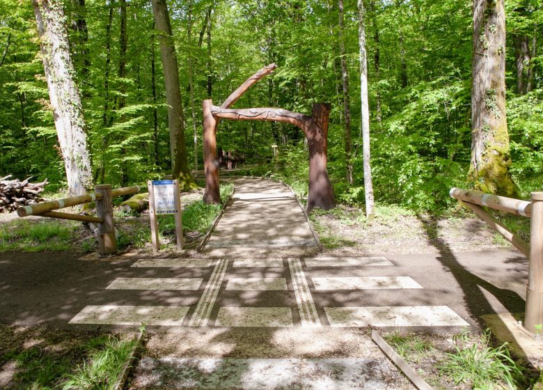 864757_palais_du_roi_chene_2_pnrfo_fvannier