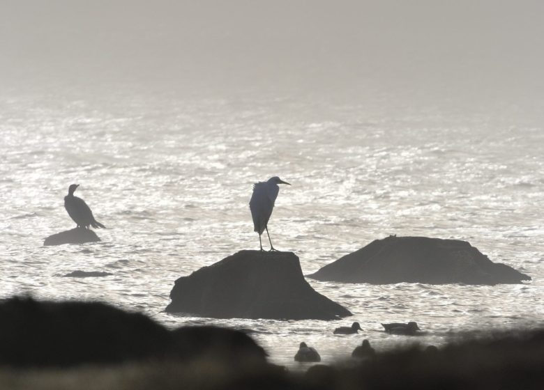 864778_heron_credit_ctomasson