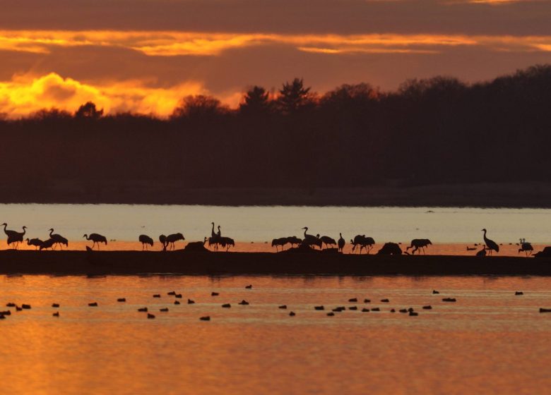 864805_couche_soleil__credit__ctomasson