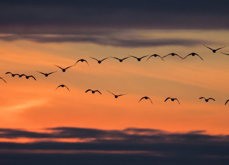 864806_ciel_crepuscule_credit__ctomasson