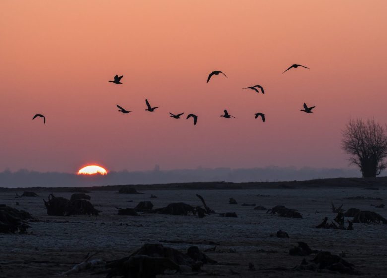 864808_ciel_crepuscule_2_credit__ctomasson