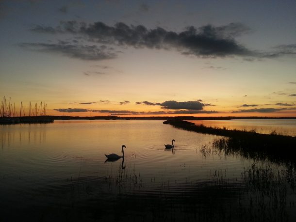 Les animations du Parc