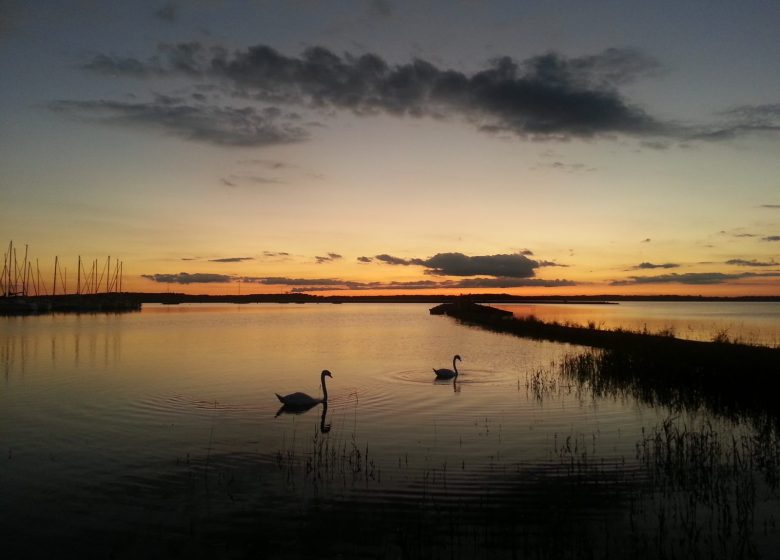 864810_couche_soleil__credit__pnrfo