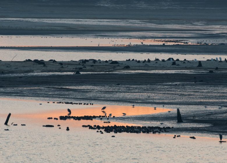 864811_lacs_credit__ctomasson