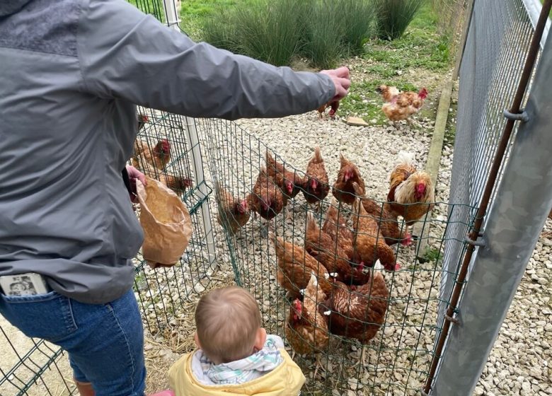 866612_ferme_de_la_marque_4