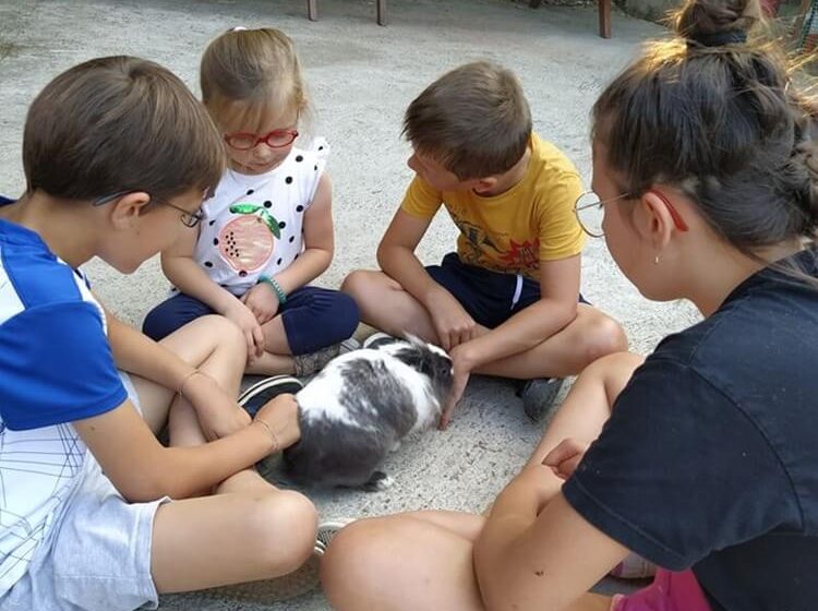 866616_la_ferme_de_la_marque_4