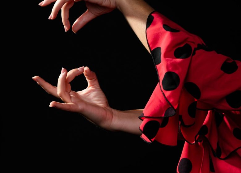 867206_gros-plan-femme-flamenca-executer-floreo_23-2148235257_1