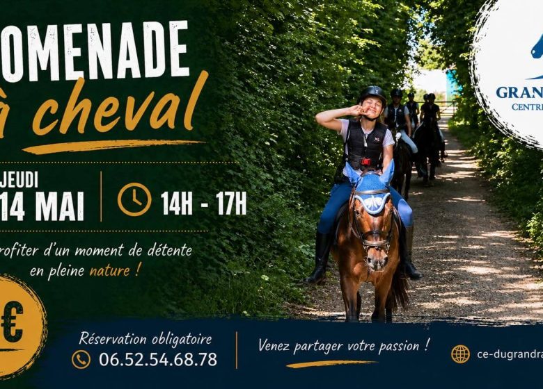868711_2026_05_14_-_promenade_cheval_-_blc